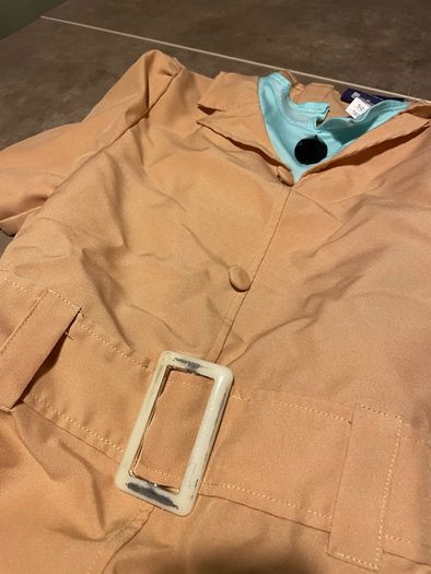 Miss Trunchbull Halloween costume