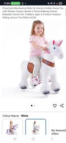 pony