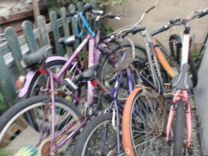 bikes