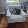 2 seater and chair Image 3