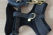 XS New Harness &amp; Leash - Ebony