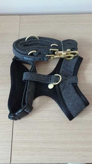 XS New Harness & Leash - Ebony