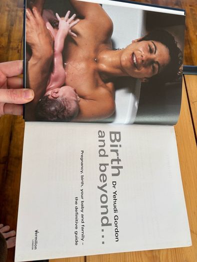 Pregnancy and birthing book bundle