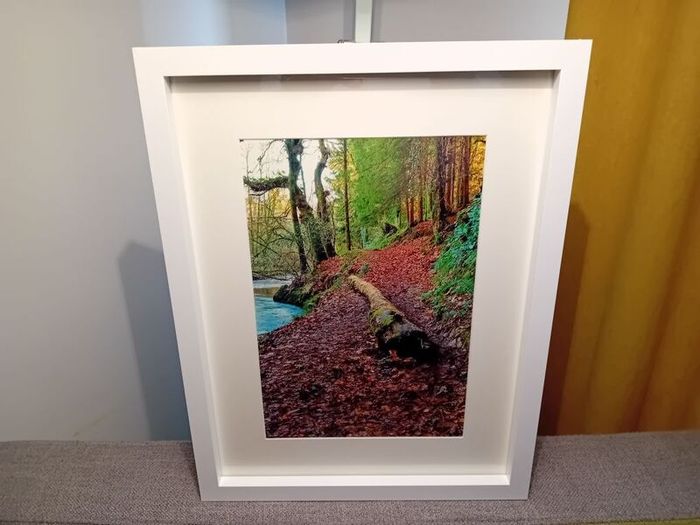 Glenbower Woods