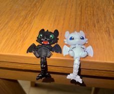 Toothless & Light Fury Keychain