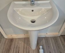 Sink and pedestal