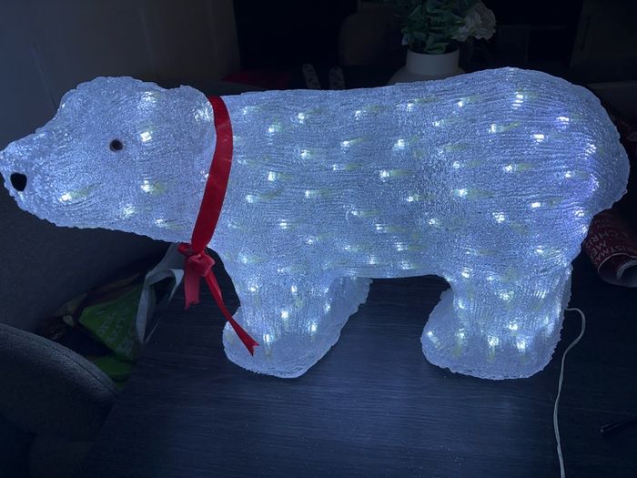 Outdoor polar bear
