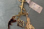 lanyard Disneyland Paris 30th anniversary
