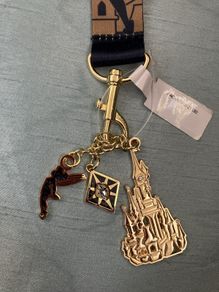 lanyard Disneyland Paris 30th anniversary