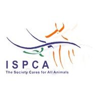 ISPCA Jobs in Ireland