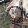 bike parts Image 7