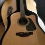 takamine Image 3