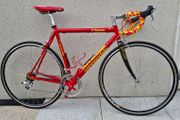 Cannondale Saeco team replica