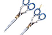 2Pcs Razor Scissor Barber Saloon Shear Scissor Hairdressing Scissor 6"