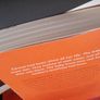 Anne Enright / The Wren / 2023 Image 3