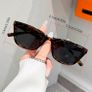 Cat eye tortishell sunglasses Image 2
