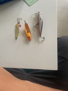 Fishing