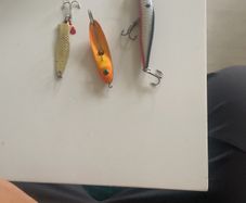 Fishing