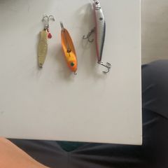 Fishing