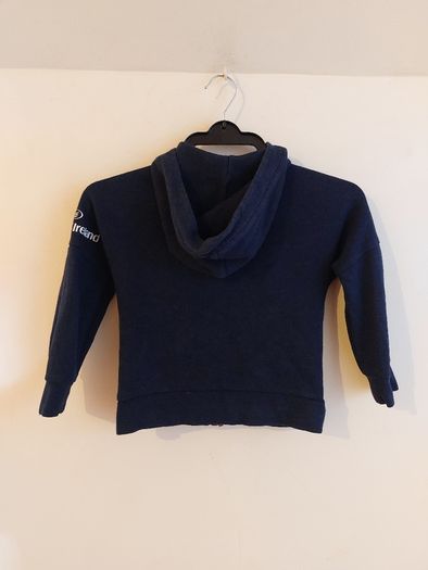 leinster rugby hoodie