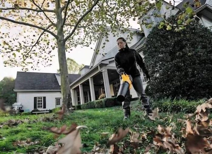 DeWALT 54V Flexvolt Cordless Brushless Leaf Grass Blower //// 6AH 54V Flexvolt Battery.The Best A Professional Can Get. Closing down sale - all must go!.