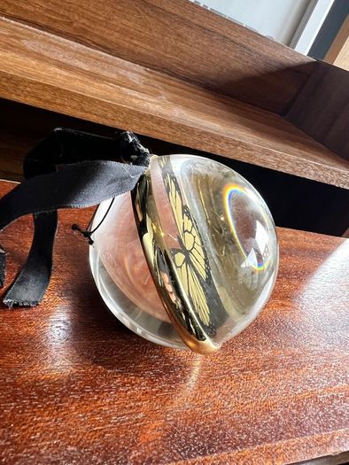Clear glass bauble or ornament enclosing a butterfly specimen.