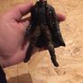 Detailed action figure : man with two swords Image 2