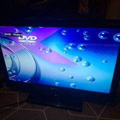 Walker TV with Built In DVD Player