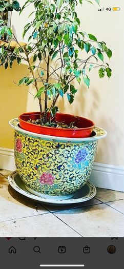 plant pots