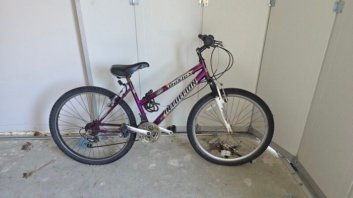 mountain bike
