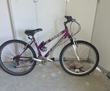 mountain bike