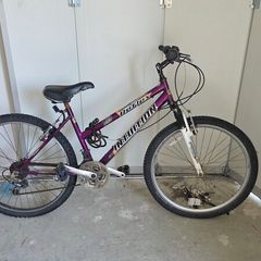 mountain bike