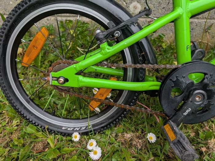 bike kids frog