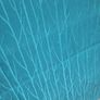 Roman Blind Image 3