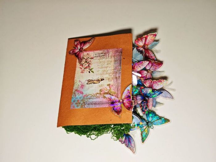 Handmade 3D Butterfly PopUp Book