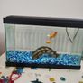 15Litre Fish tank Image 3