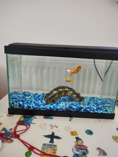 15Litre Fish tank