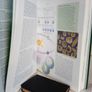 The Mitchell Beazley Family Encyclopedia of Nature by Mitchell Beazley (RB265) Image 3