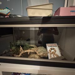 Reptile tank
