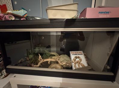 Reptile tank