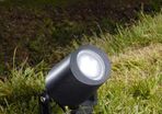 Mini Tommy Spike Black Led Gu10 Spotlight