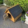 Dog Kennel for Sale Image 5