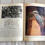 Animal Life of the World, illustrated Book Image 4