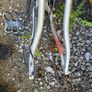 Bike Image 8