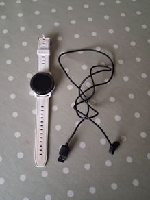Bushnell iON Elite Golf GPS Watch