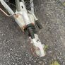 Ifor Williams 6X4 trailer with brakes Image 3