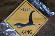 Nessie X-ing Coasters