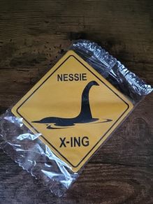 Nessie X-ing Coasters