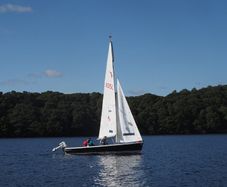 Wayfarer MK4 Sail No. 10509