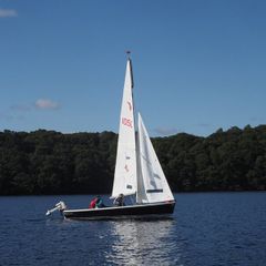 Wayfarer MK4 Sail No. 10509